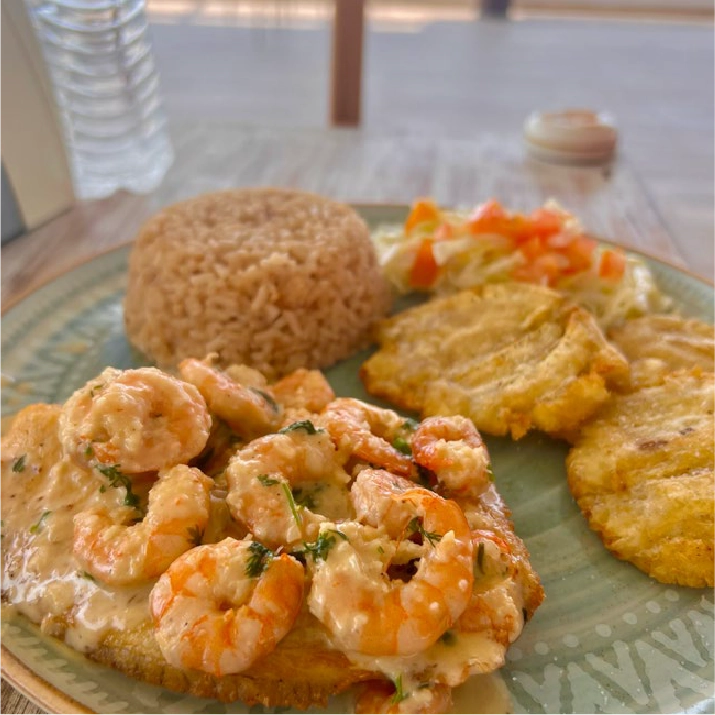 COMIDA 3